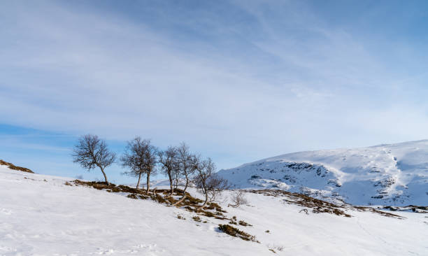 haukelifjell to obszar górski i przełęcz górska w południowej norwegii., skandynawia - telemark skiing zdjęcia i obrazy z banku zdjęć