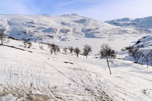 haukelifjell is a mountain area and a mountain pass in south norway., scandinavia - telemark skiing fotos imagens e fotografias de stock