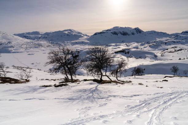 haukelifjell is a mountain area and a mountain pass in south norway., scandinavia - telemark skiing fotos imagens e fotografias de stock