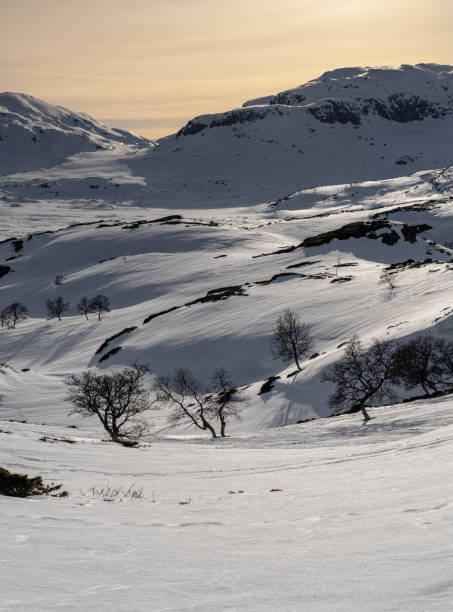 ハウケリフィエルは、スカンジナビアの南ノルウェーにある山岳地帯と峠です。 - telemark skiing ストックフォトと画像
