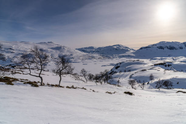 ハウケリフィエルは、スカンジナビアの南ノルウェーにある山岳地帯と峠です。 - telemark skiing ストックフォトと画像