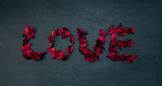 The Word Love made of red rose  petals isolated on grey background, valentines day new background