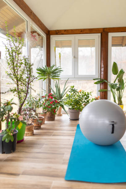 istock Everything ready for yoga and pilates on terrace at home 1464189253