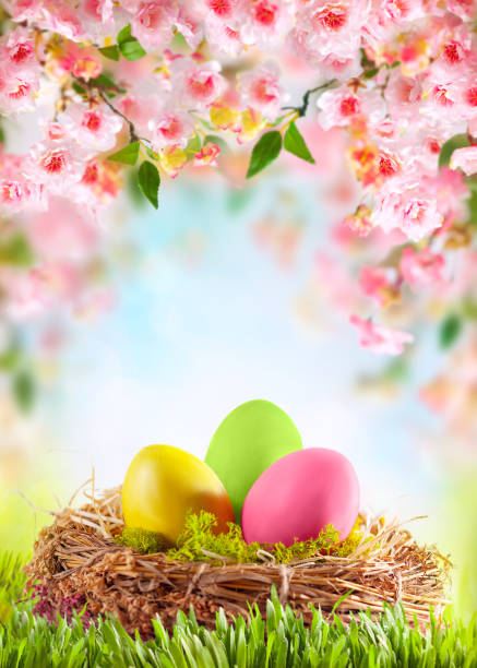 istock Easter composition with colorful Easter eggs in nest on green grass. Beautiful pink and white cherry flowers. 1464190197