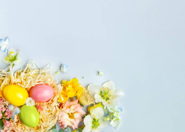 istock Easter composition with Spring Flowers and Easter eggs in nest on pastel blue background. 1464190202
