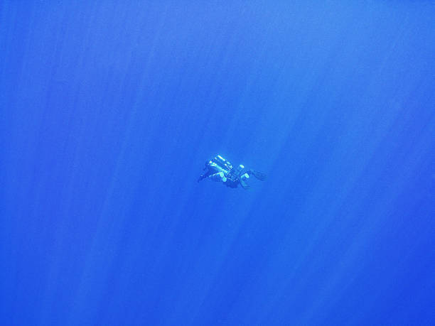 istock scuba diver man underwater into the blue 1464194328
