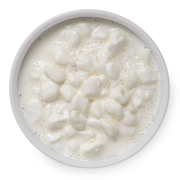 istock Chunky cottage cheese with whey in a white ceramic bowl isolated on white from above. 1464195343