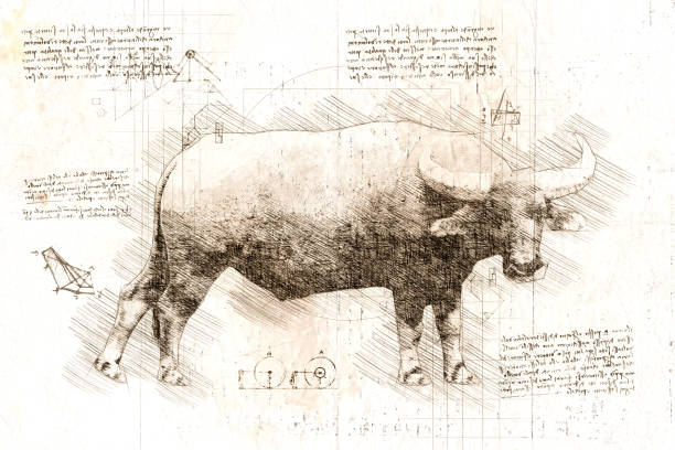 istock da Vinci style sketch of thai domestic water buffalo 1464199664