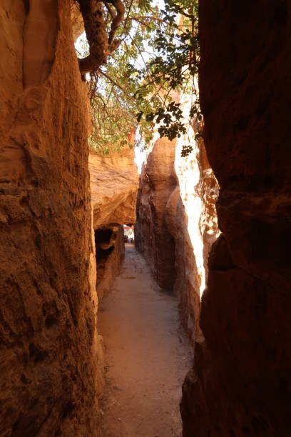 parte estrecha del pequeño cañón de petra, siq al-barid, antes de entrar en el espectacular mirador hacia el desierto, jordania - el barid fotografías e imágenes de stock