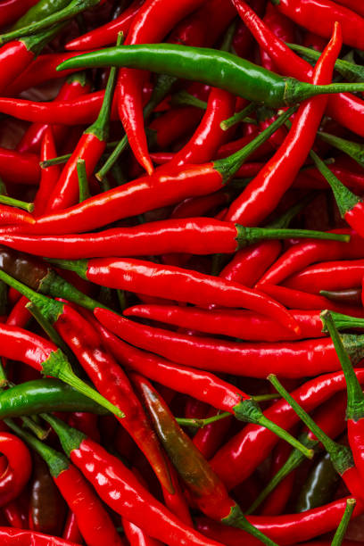 istock macro red pepper,Red hot chilli peppers pattern texture background. Close up. Landscape. A backdrop ofRed hot chilli peppers. Street vegetable market. Group of Red hot chilli peppers 1464202651