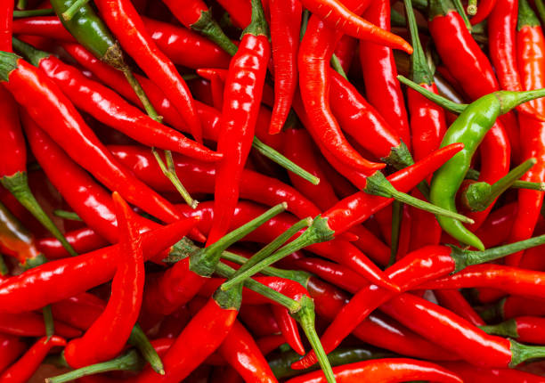 istock macro red pepper,Red hot chilli peppers pattern texture background. Close up. Landscape. A backdrop ofRed hot chilli peppers. Street vegetable market. Group of Red hot chilli peppers 1464202663