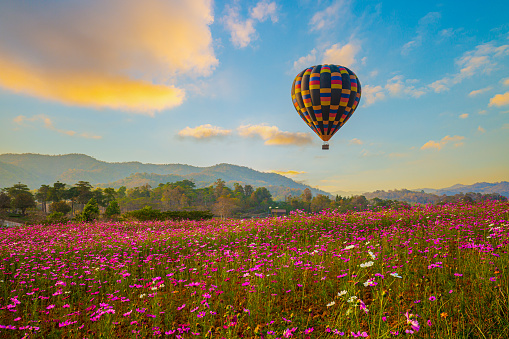 Colorful hot-air balloons flying over the mountain