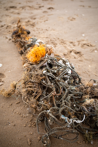 discarded fishing net washed up on the beach dander to marine life