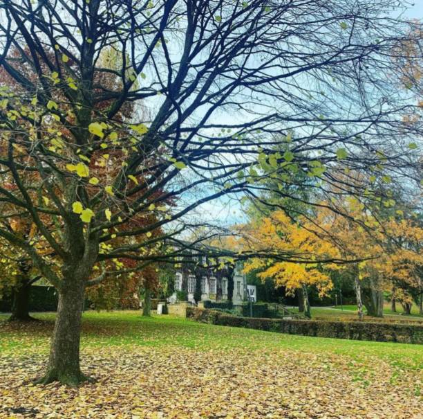 istock Beautiful garden in Aachen, Germany 1464206560