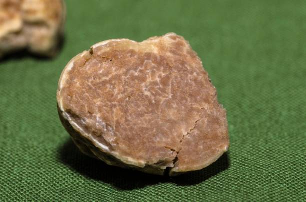 istock Specimen of fine white truffle in the foreground 1464211131