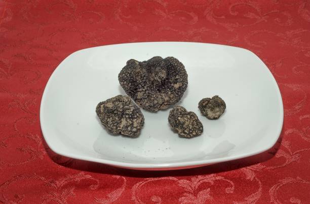 istock Black truffle in the dish 1464211497