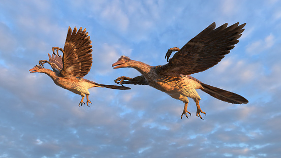 3d illustration of two archeopteryx flying in the sky