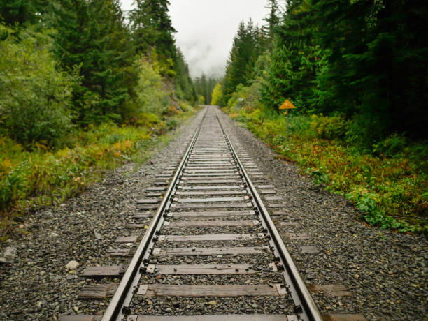 istock Railway track at Brandywine Falls, Canada. 1464217683