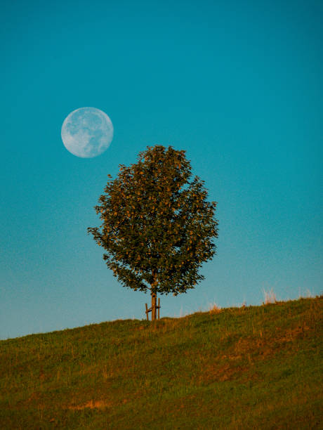 istock Scenery of the moon setting behind the mountain 1464219959