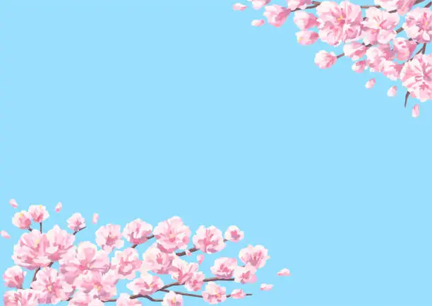 Vector illustration of Cherry Blossoms Landscape Illustration, backgrounds for design, abstract illustration and plain blue background.