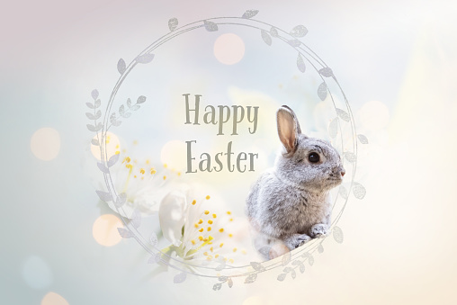 Easter greeting card with rabbit and text 
