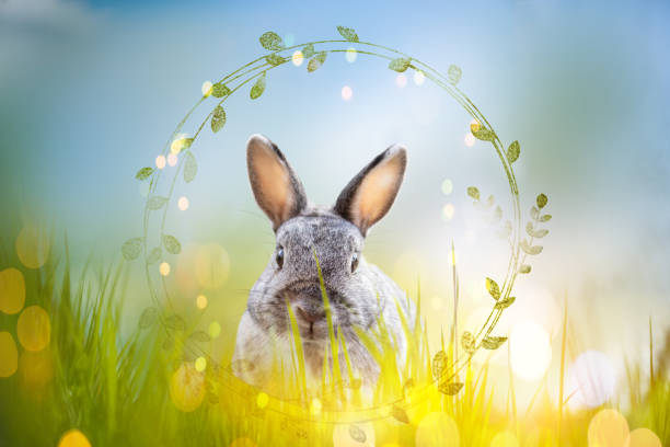 Easter greeting card with rabbit and copy space for your text