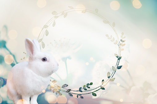 Easter greeting card with rabbit and copy space for your text