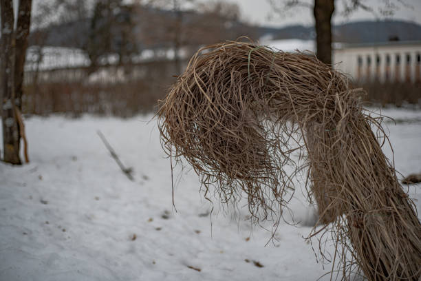 istock winter landscape brown leafs grass weed park nature sleeping green 1464225671