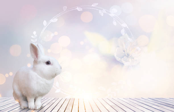 Easter greeting card with rabbit and copy space for your text