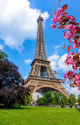Eiffel Tower and Field of Mars in spring, Paris, France