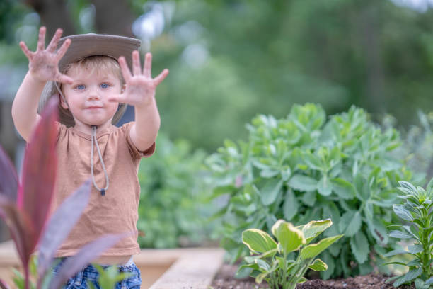 istock Dirty Hands in the Garden 1464233590