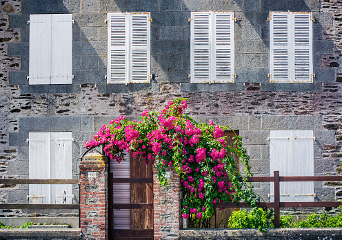 A peach-colored French apartment with window shutters, covered in crawling ivy with orange flowers.