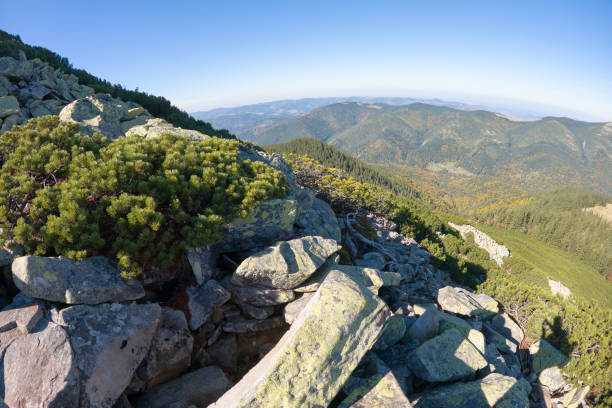 istock Rocky mountain hillside with big stone boulders on sunny day 1464236116