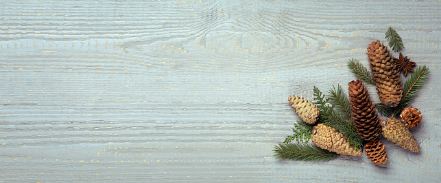 Flat lay composition with pinecones on grey wooden table, space for text. Horizontal banner design