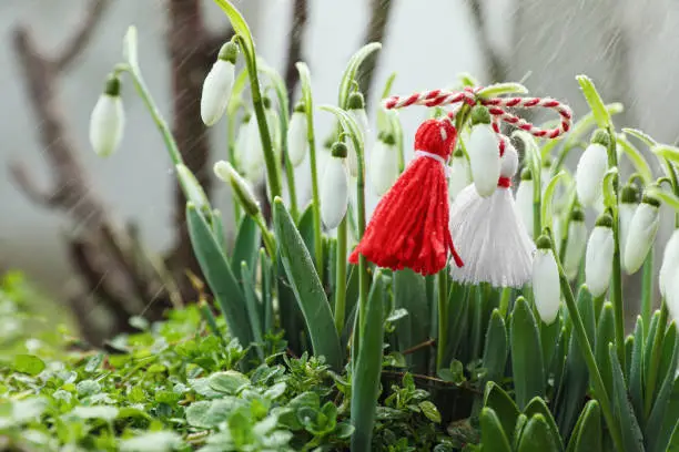 Traditional martisor and beautiful snowdrops outdoors. Symbol of first spring day
