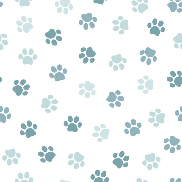Seamless pet paw pattern. Cat or dog footprint on white background. Seamless pet paw pattern. Cat or dog footprint on white background. Vector illustration. It can be used for wallpapers, wrapping, cards, patterns for clothes and other. kitten wallpaper stock illustrations