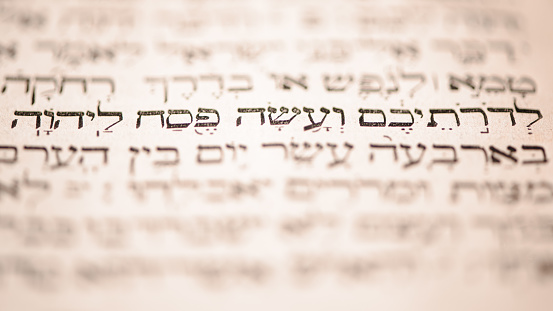 Page of old worn shabby jewish book Torah. Selective focus on snippet Hebrew Bible text that translates in english: offer the Passover sacrifice to Jehovah. Closeup