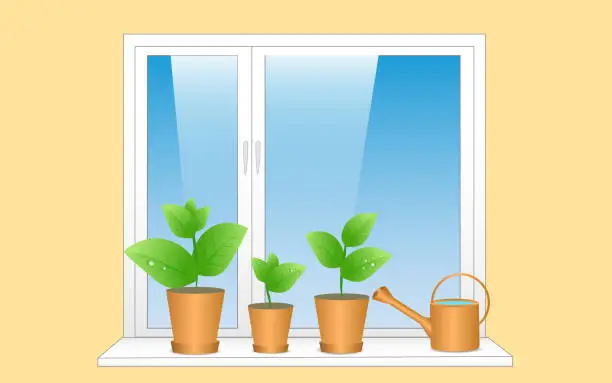 Vector illustration of Seedlings in spring in pots stand on the windowsill, watering can. Young plants on the window, sky. Modern flat vector illustration without raster effects