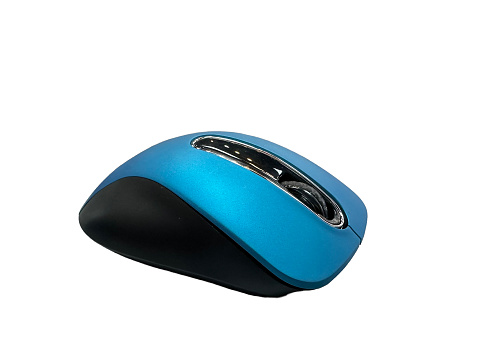 Computer mouse on the white background