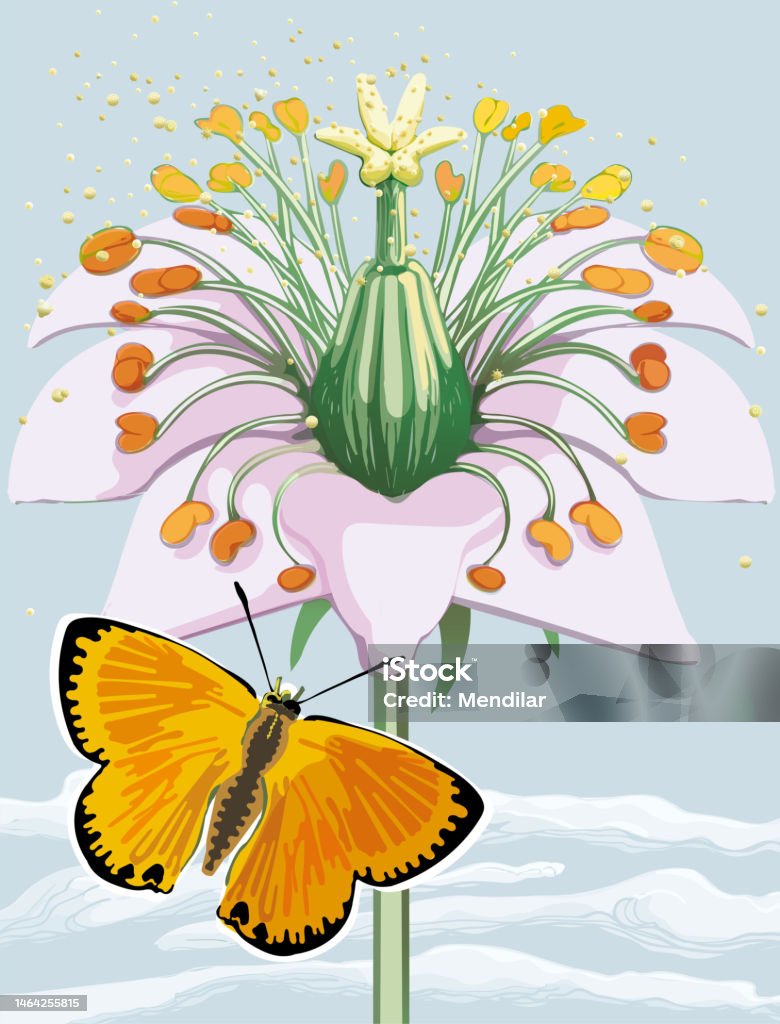 Polination Design Pollination 5 Stock Illustration - Download Image Now - Animal, Blossom ...