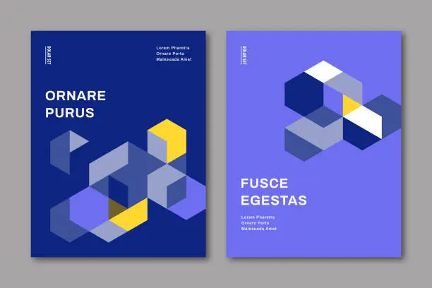 Vector illustration of Brochure cover design template with abstract geometric graphics — Dexter System, IpsumCo Series