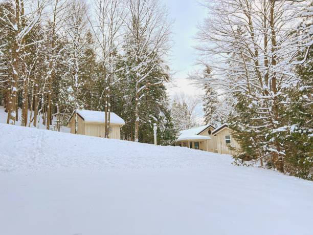 istock House in the Woods 1464263370