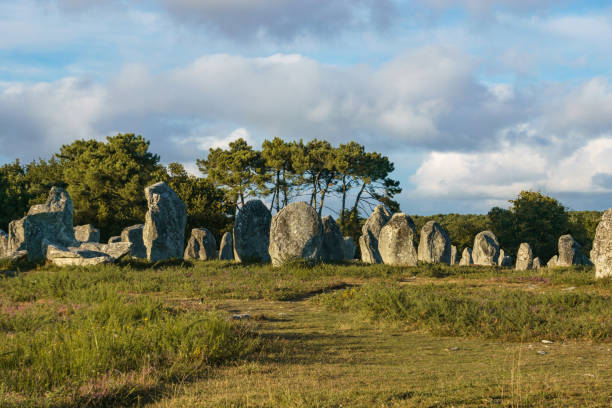 allineamento di pietre megalitiche lunghe miglia sul prato verde a carnac, bretagna, francia - camposanto monumentale foto e immagini stock