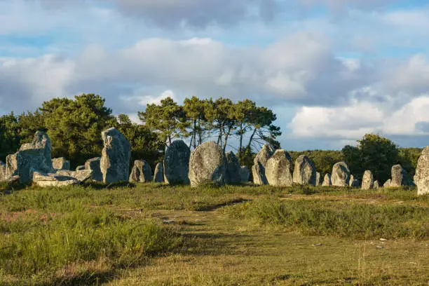 Photo of Miles long megalithic stones alignment on green meadow in Carnac, Brittany, France