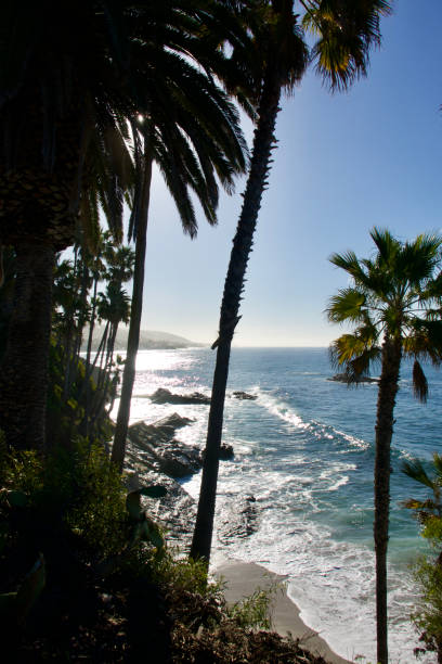istock Breaking waves on Laguna’s coast as seen from the bluffs above 1464279920