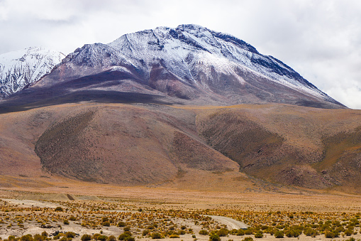 The Altiplano desert is the high-altitude desert of Bolivia. It is a unique environment.