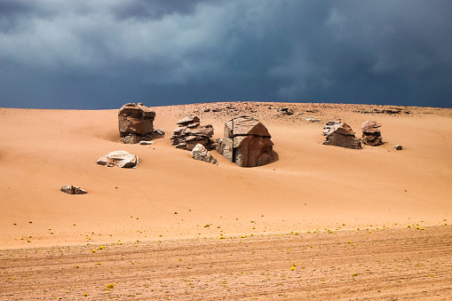 Landscape of Tara salar in Atacama region with a car um background