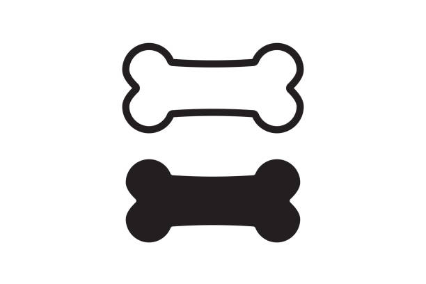 Bone outline icon. Bone for pet dog. Vector Bone for pet dog. Bone outline and silhouette icon. Canine food symbol. Vector illustration animal stage stock illustrations