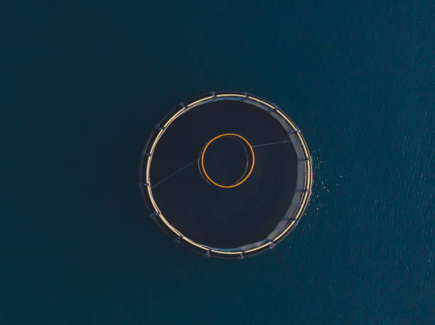 vista aerea dall'alto del drone delle gabbie di allevamento ittico di mare e delle reti da pesca, dell'allevamento dorado, orata e branzino, alimentando il pesce con un foraggio, con paesaggio marino e montagne sullo sfondo, mare adriatico - catch of fish fish tuna sea bream foto e immagini stock