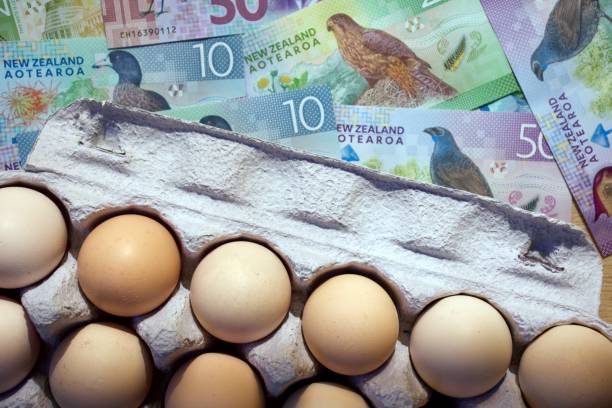 istock New Zealand Cash (NZD) and Eggs 1464291264